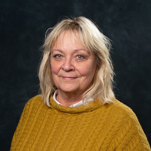 Karin Falk-Brynhildsen